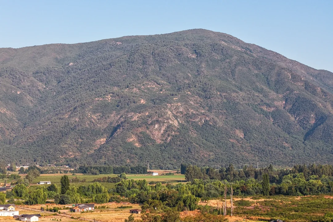 Fotos Fundos Los Ciruelos-72